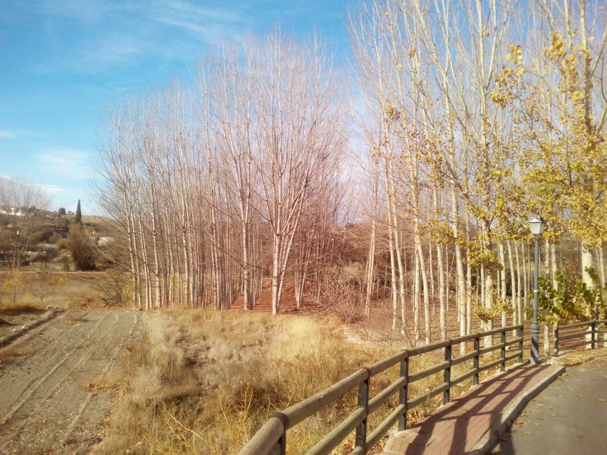 Fotos de Castilléjar (de los Ríos) (Granada) (diciembre 2022) (parte 1)