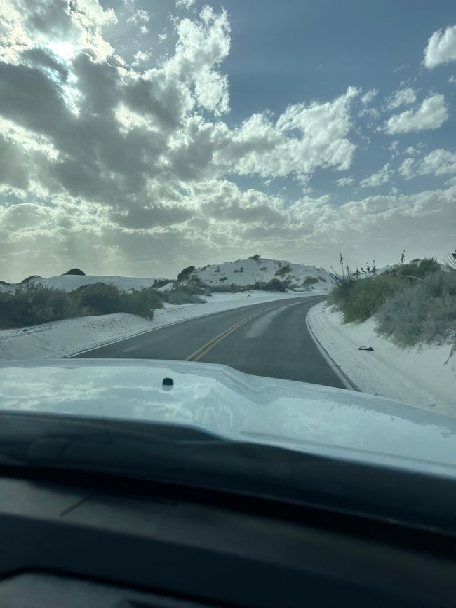 Arizona/ New Mexico/ Petrified Forest/ White Sands