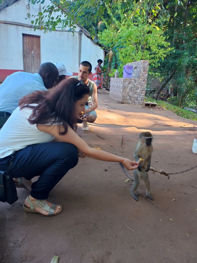 Cachoeira de Amizade/ Wasserfall der Freundschaft