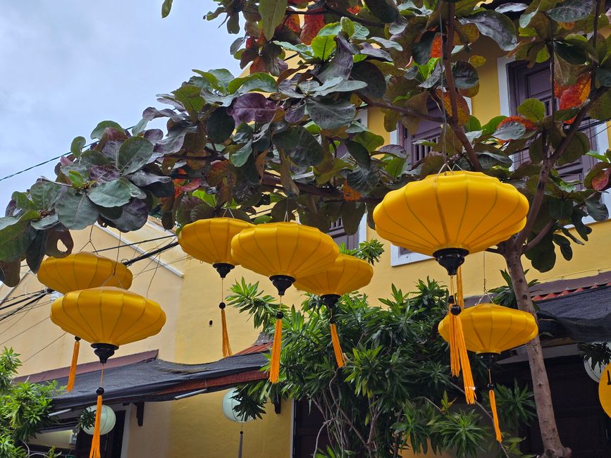 会安在雨中!诅咒还是祝福?