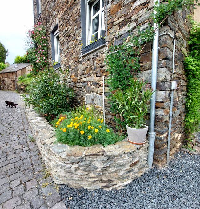 Tour Mosel Maggio 2025