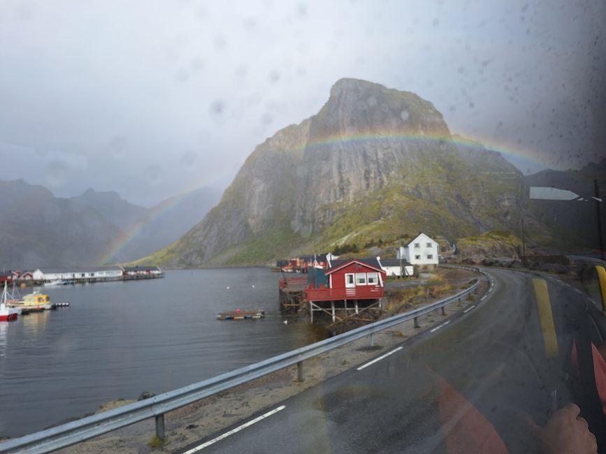 Regenbogenbuer