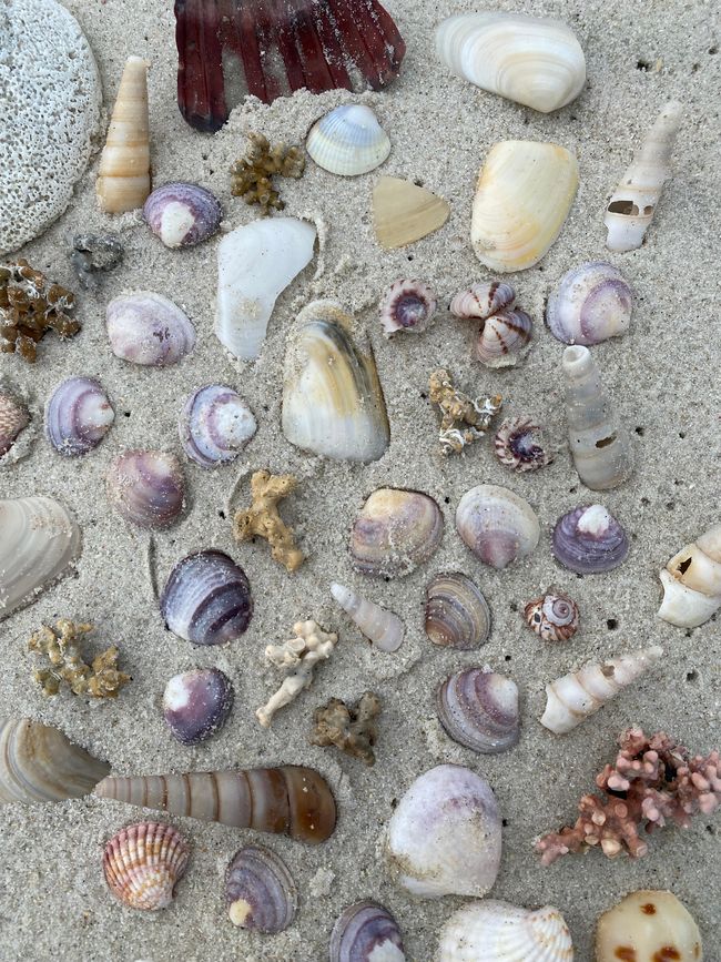 About the KariKari beach to Whangarei