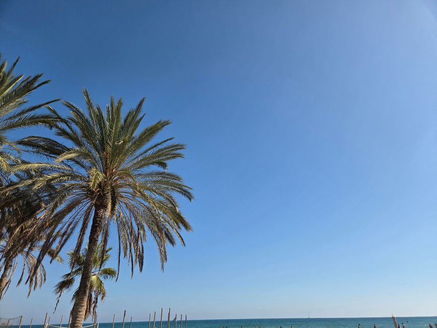 Hufe, Hüften, Flamenco – Mein Pferdeabenteuer in Málaga bei El Ranchito