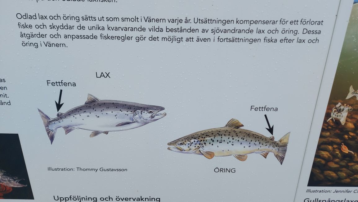 Kristinehamn - Forsvik - Karlsborg - Mariestad