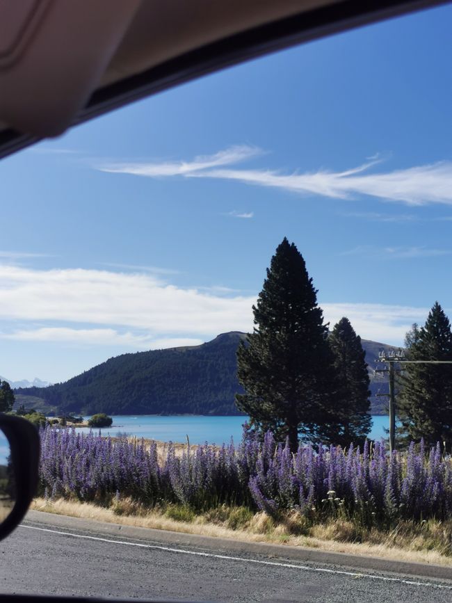 Lake Tekapo