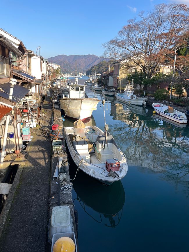 Maizuru Klein-Venedig