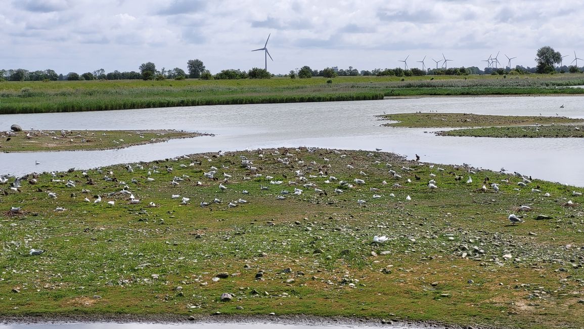 Naturschutzgebiet Wallnau