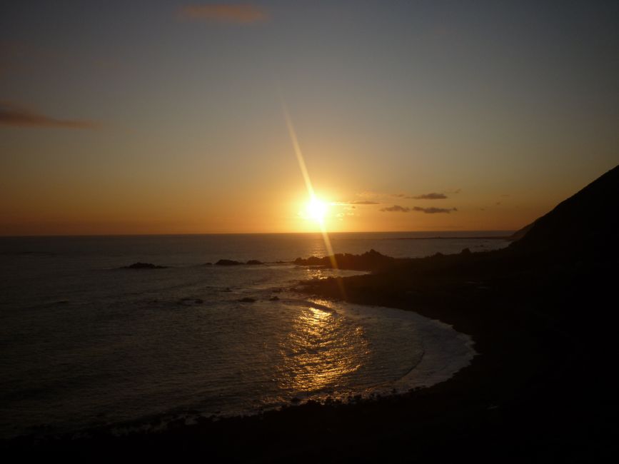 Day Trip - Cape Palliser