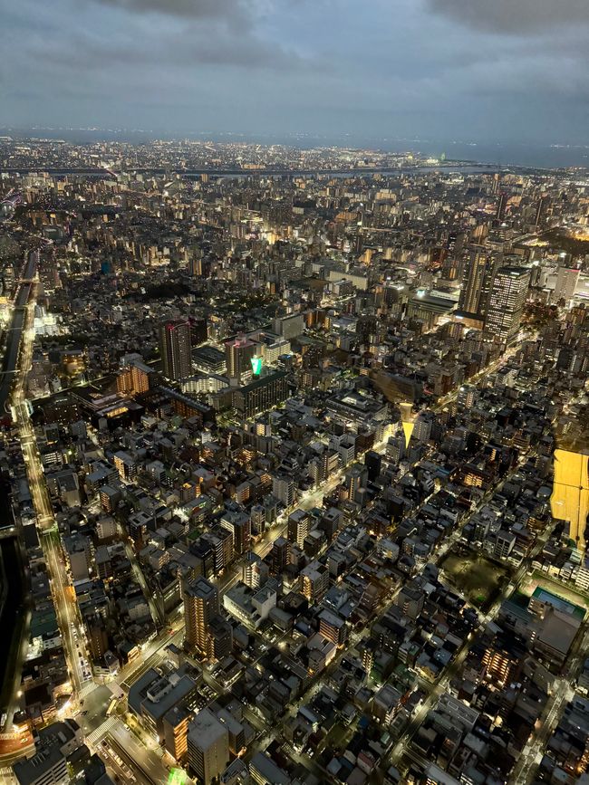 Parte 7
BENVENUTO IN GIAPPONE 🇯🇵
TOKYO