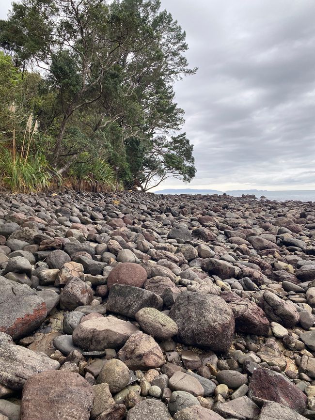 Coromandel loop