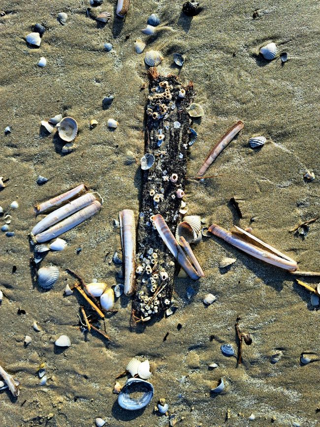 Strand-Gut-Kunst