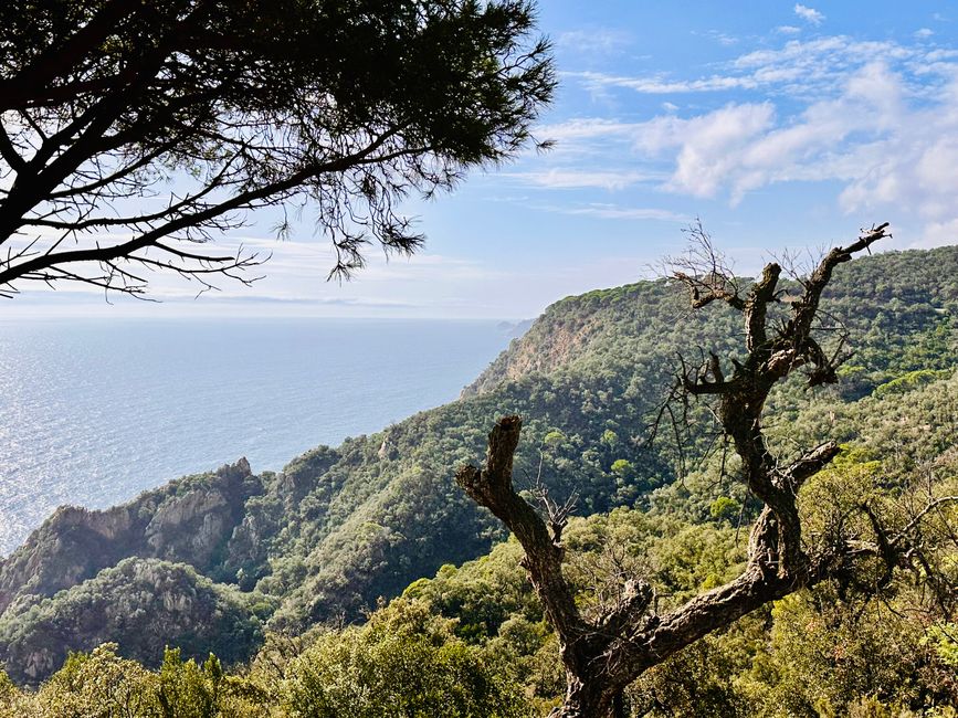 Uns geht’s gut, Danke! 
Küstenstrasse von Sant Feliu de Guíxols bis Tossa de Mar