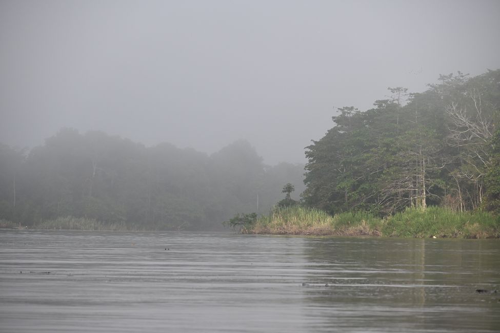 Kinabatangan