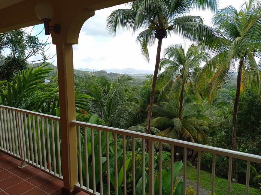 Blick von unserer Terrasse