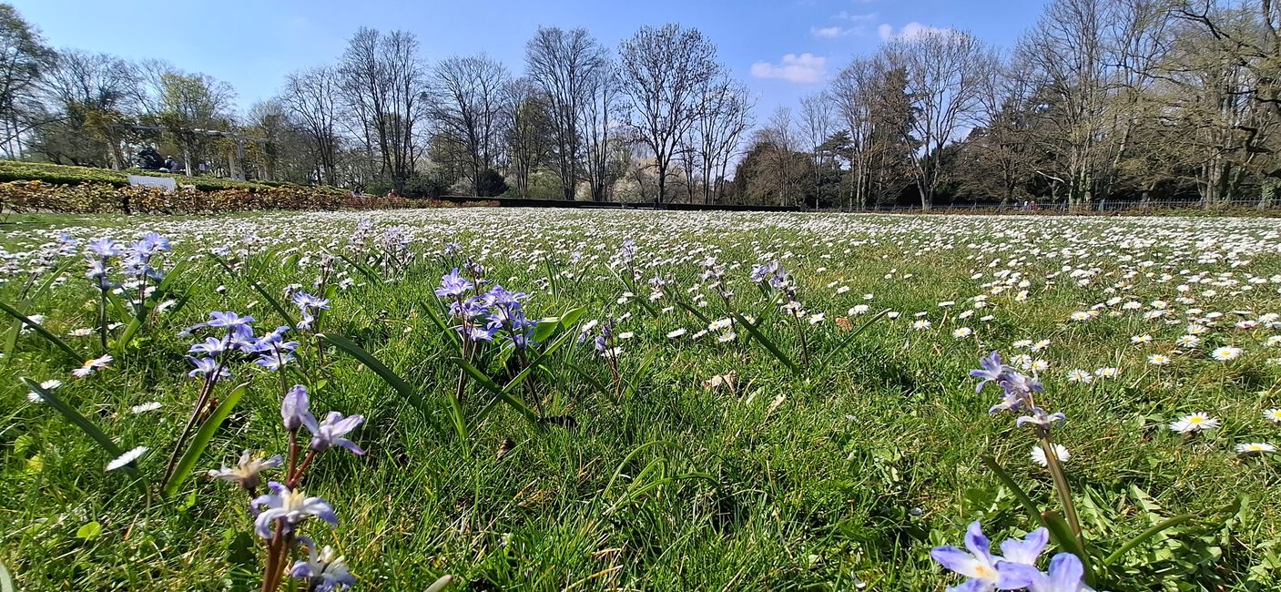 Wandern in Darmstadt 
