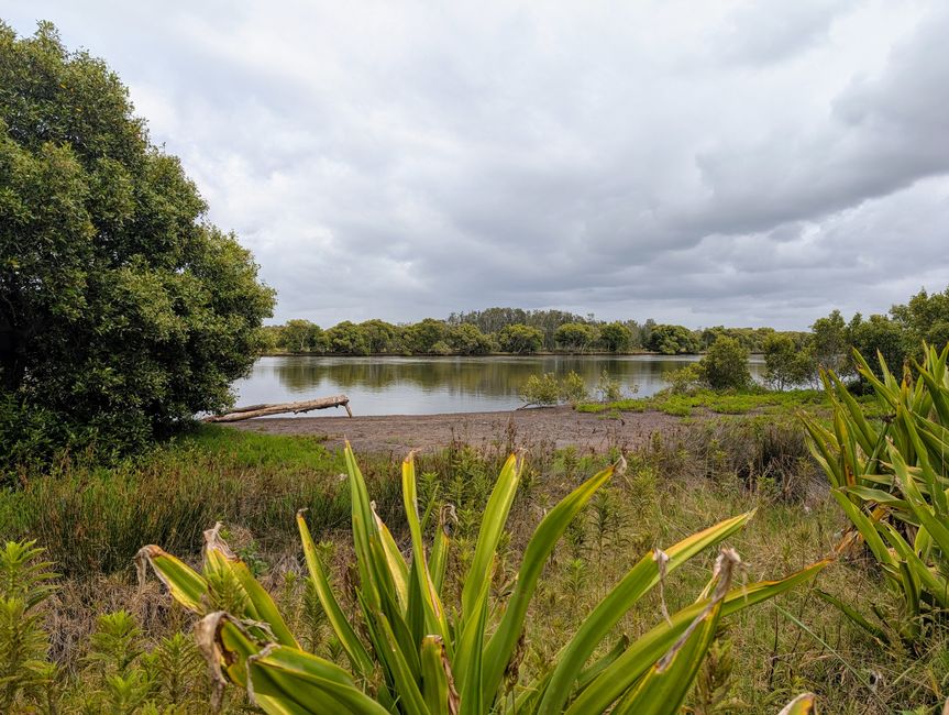 Von Newcastle nach Port Macquarie
