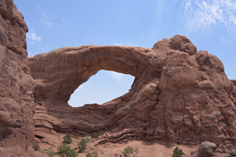 Windows Section - South Window