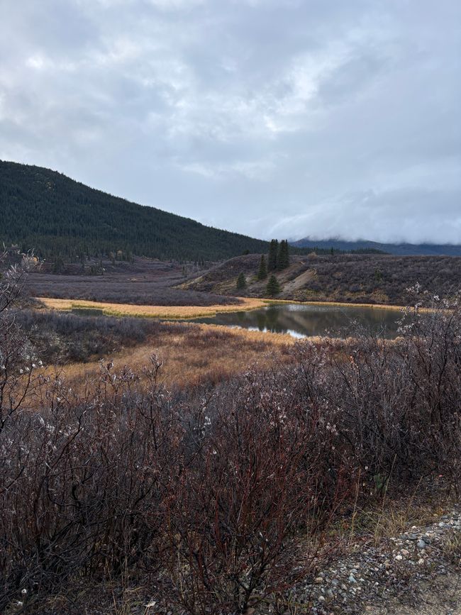 Day 5 - 🚐 Pothole Slalom, Moose Menus, and Off-Road Adventures – our day on the Canol Road