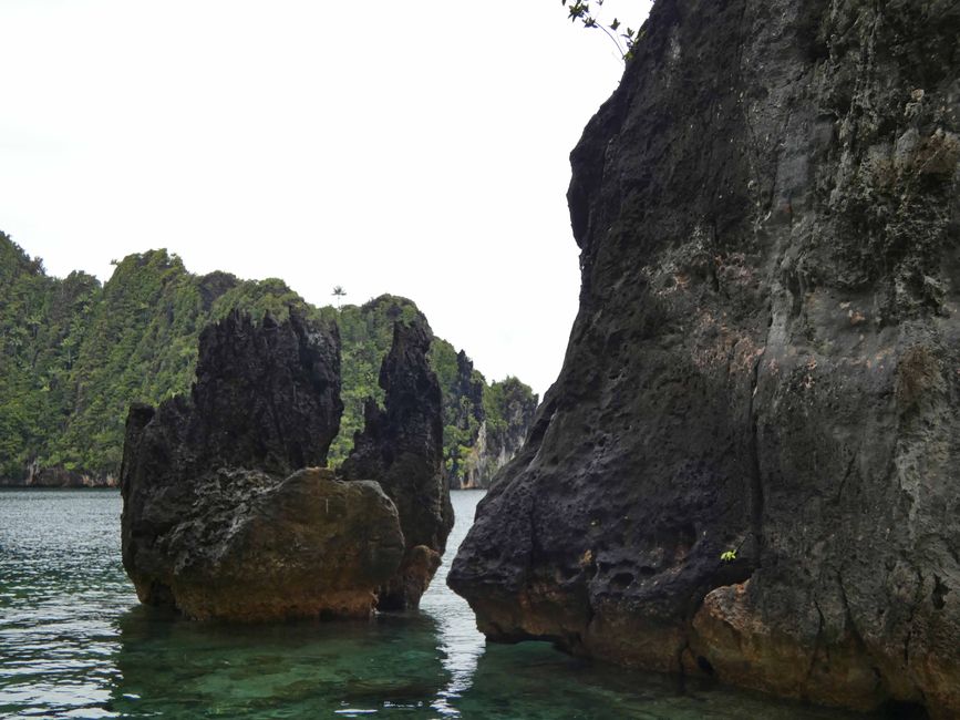 Misool, Nuova Guinea occidentale, Indonesia, escursione in Zodiac