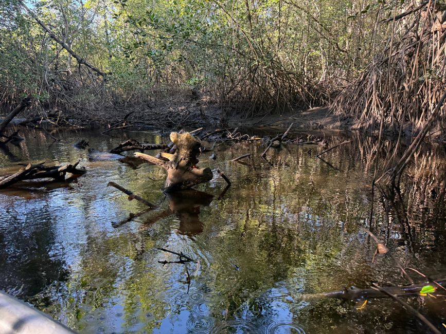 BLOG 20: Nicaragua - Costa del Pacífico y Bosque de Manglares