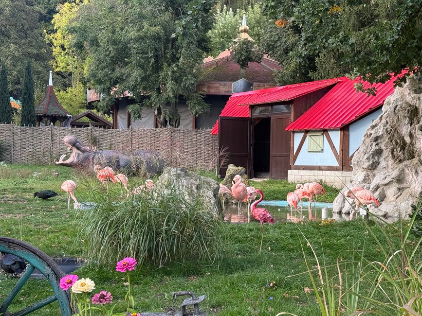 📍Freizeitpark Geiselwind/ Geiselwind Amusement Park