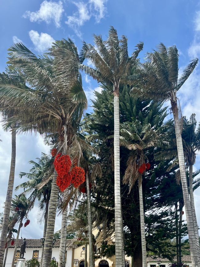 Salento, Du Schöne