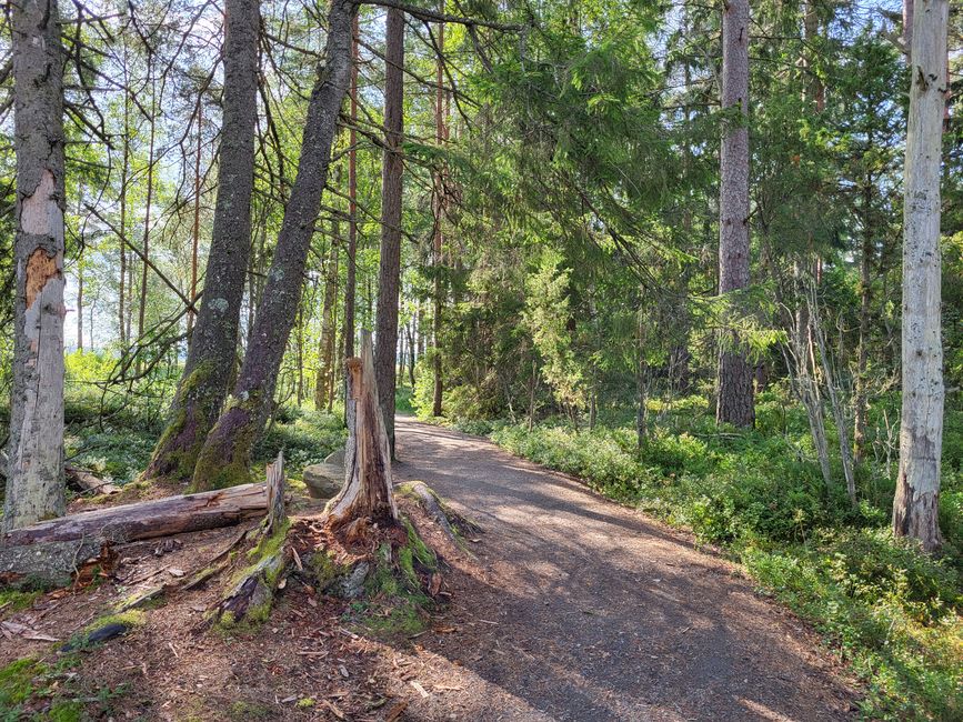 Store Mosse Nationalpark