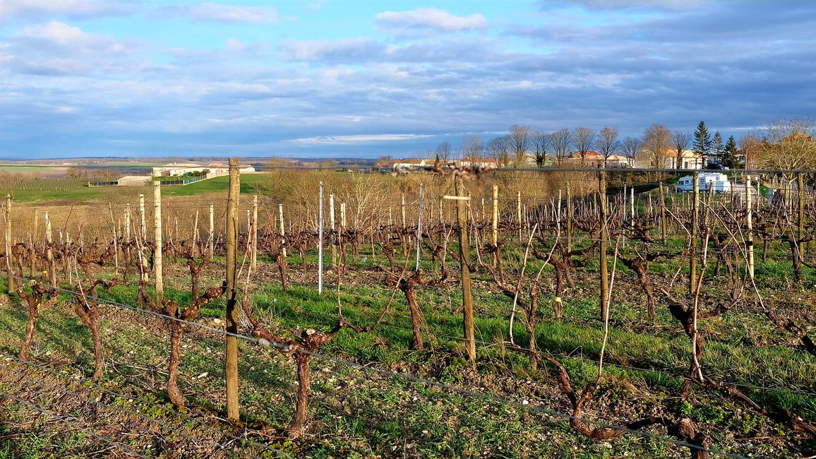 Das Weingut und den SP fest im Blick..