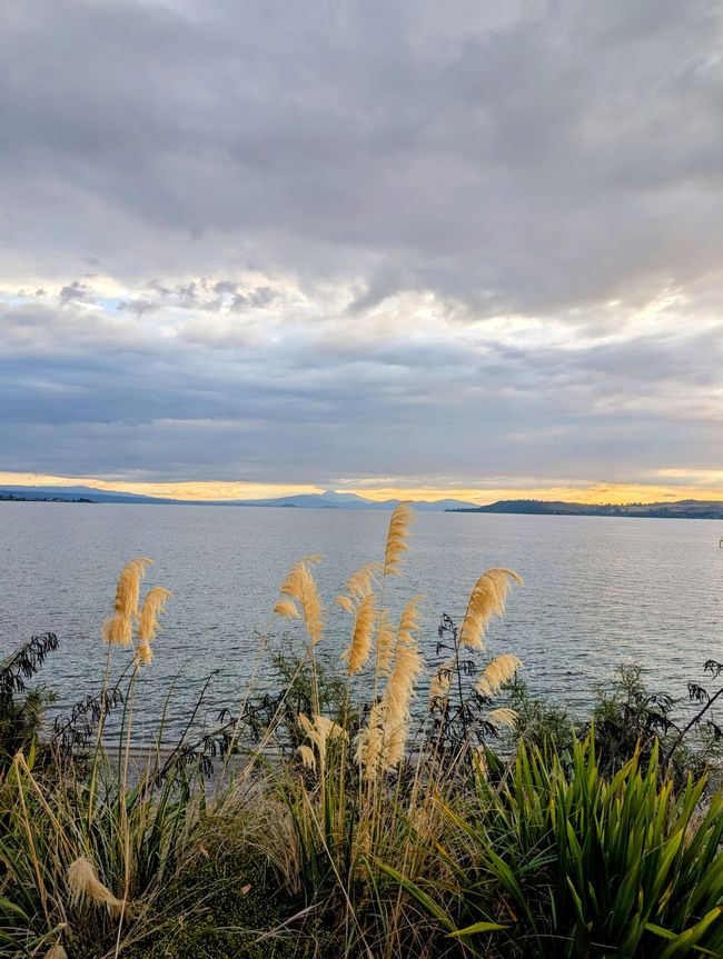 Taupo - fast alles genau richtig so