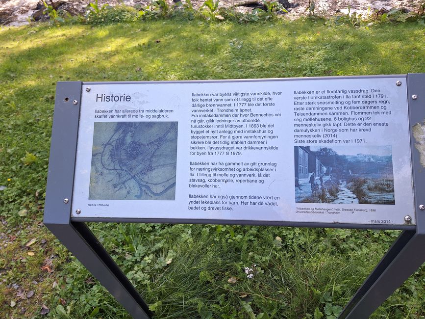 Tag 9 Trondheim