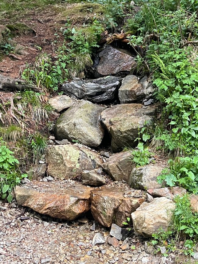 26 Feldbergsteig Escursione Pro Wolermoos