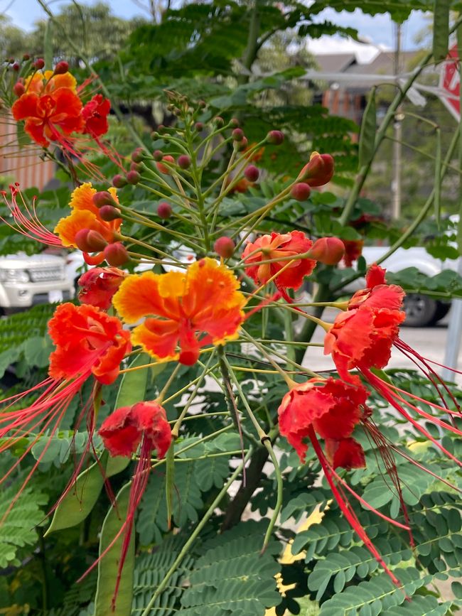 Nach einem Durchhänger geht es wieder aufwärts