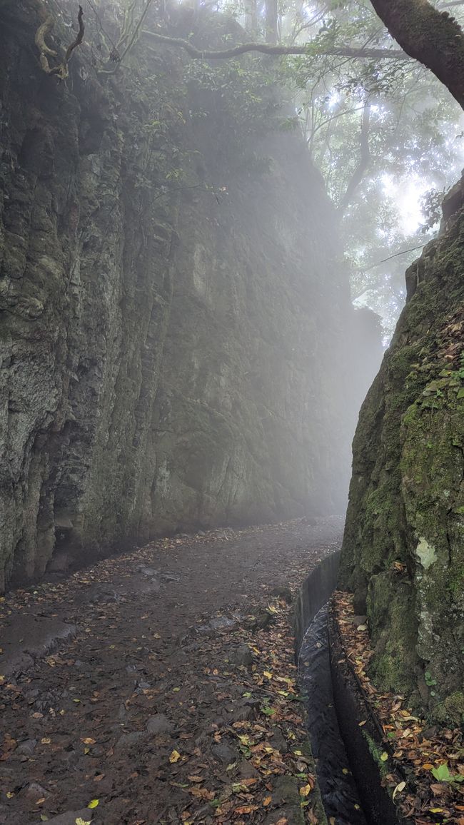 Tag 12: Dem Himmel so nah -  Pico do Areeio