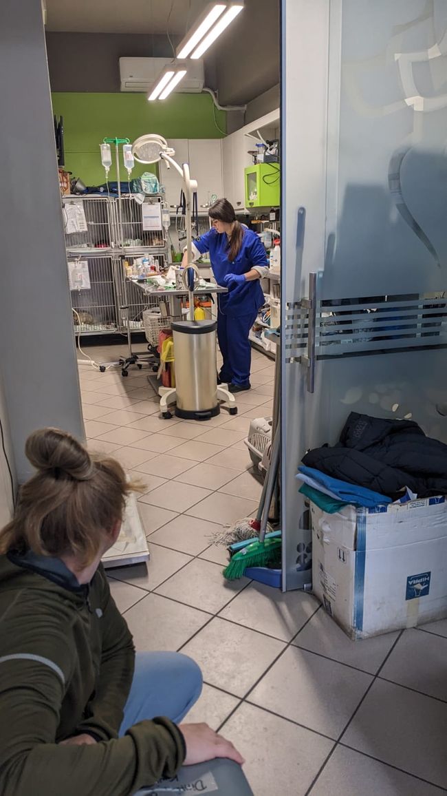 veterinario di 'fiducia' :D 