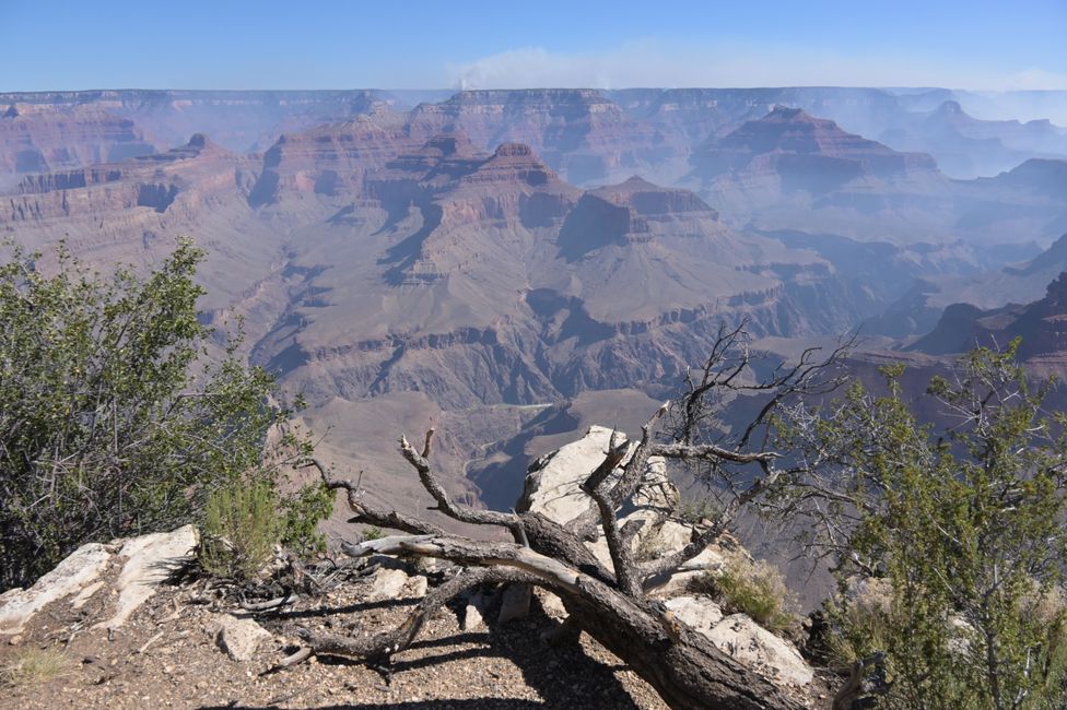 Vista dal South Rim