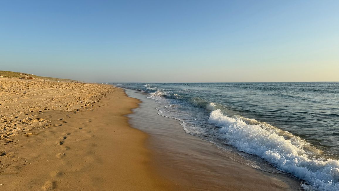 Cap Ferret