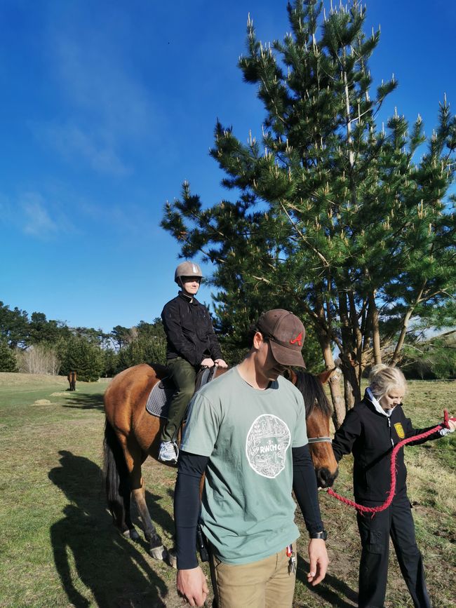 my trailer is located right on the horse pasture