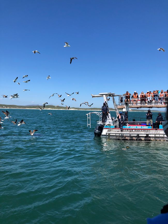 ... mit Personen-Käfig