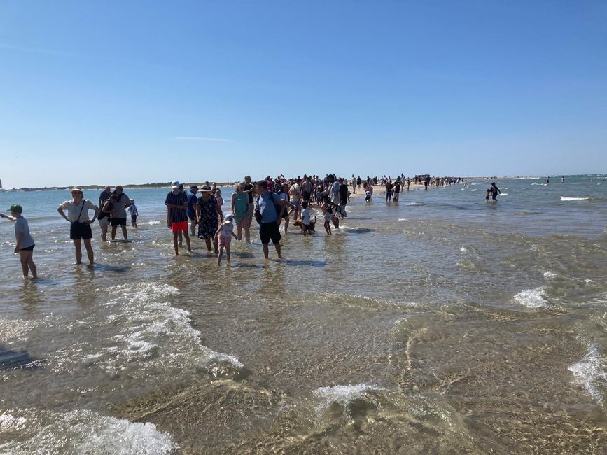 Alle wollen zur Landzunge