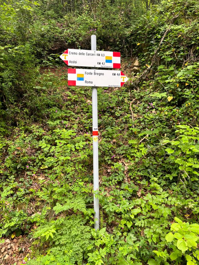 Pace e bene: passo per passo von Assisi in Richtung Poggio bustone