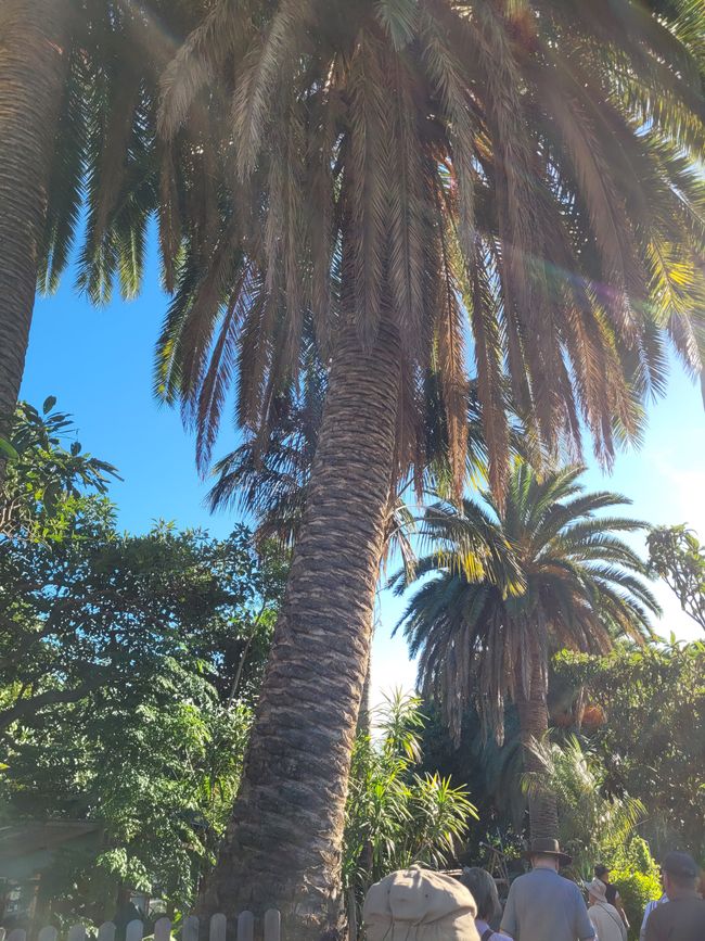 Finca