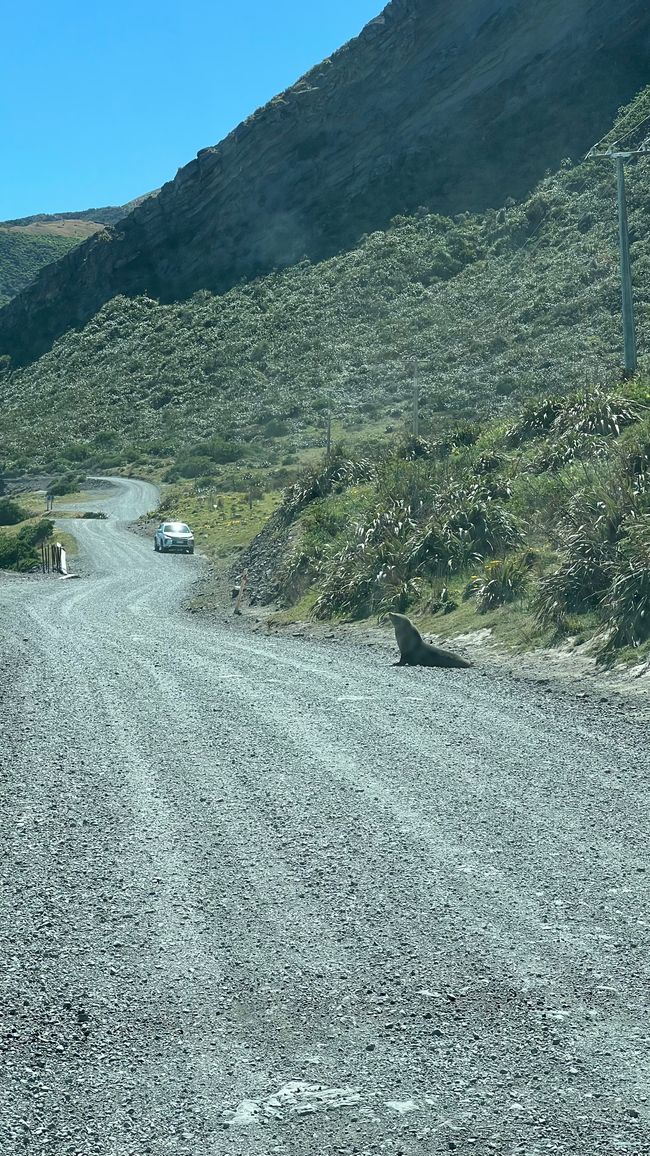 Das Schild steht hier nicht ohne Grund ;)