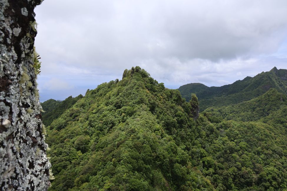 Rarotonga - Caminata cruzada por la isla