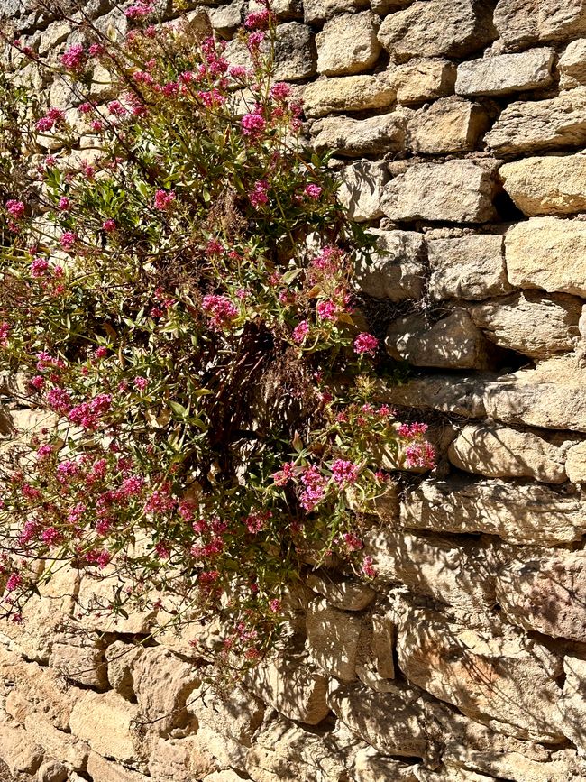 Moulin de St. Pierre, Gordes und Saignon