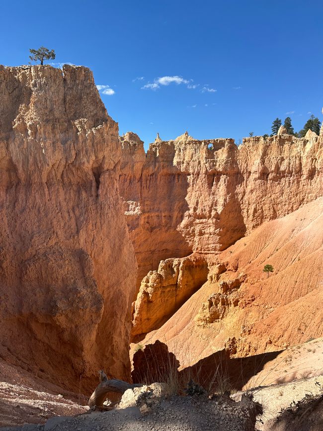 Canyon Land:Zion and  Bryce Canyon❤️