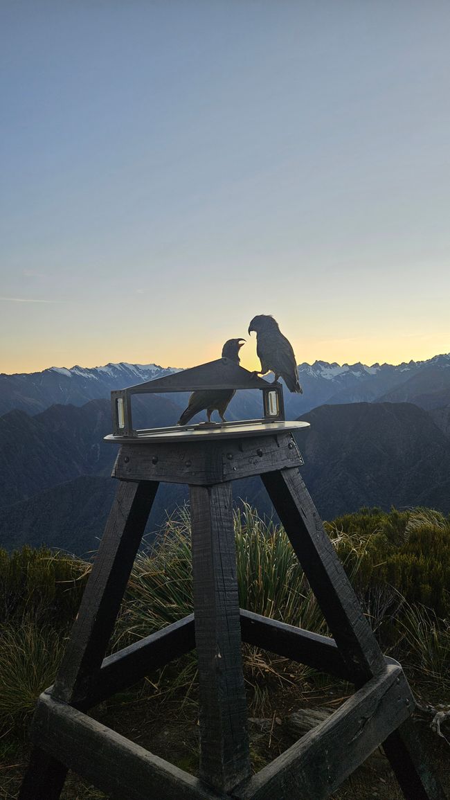 Hokitika - Franz Josef Glacier - Fox Glacier - Monro Beach