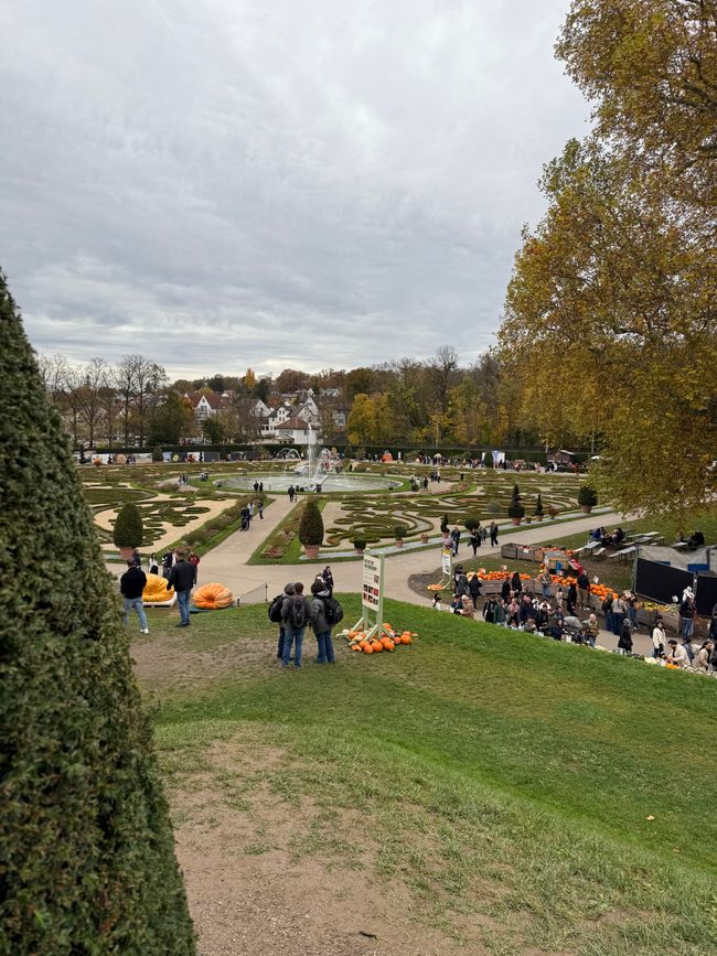 📍 Esposizione di zucche, Ludwigsburg/ 📍 Pumpkin exhibition, Ludwigsburg