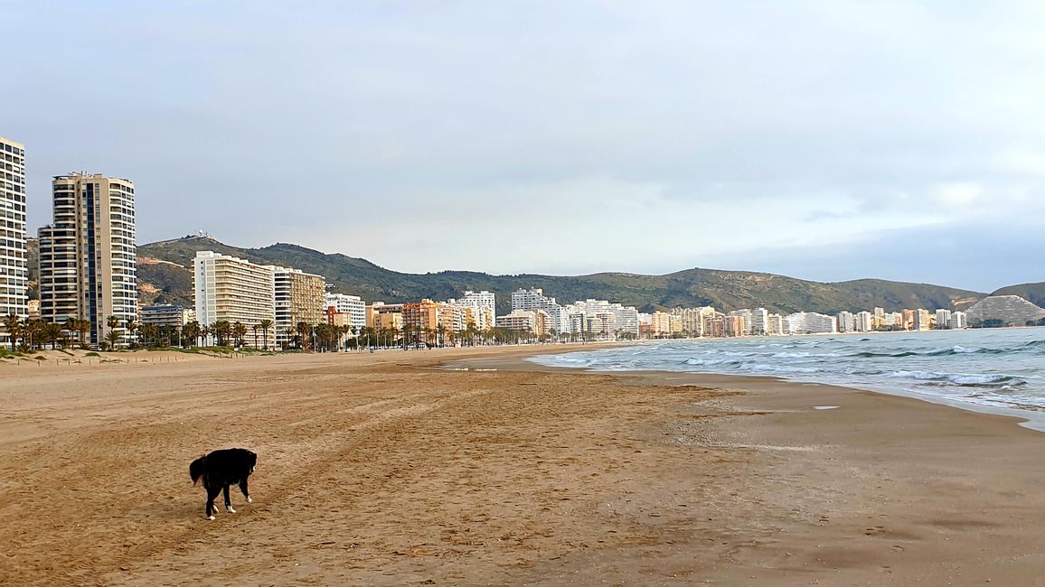 Alicante?...no grazie 609