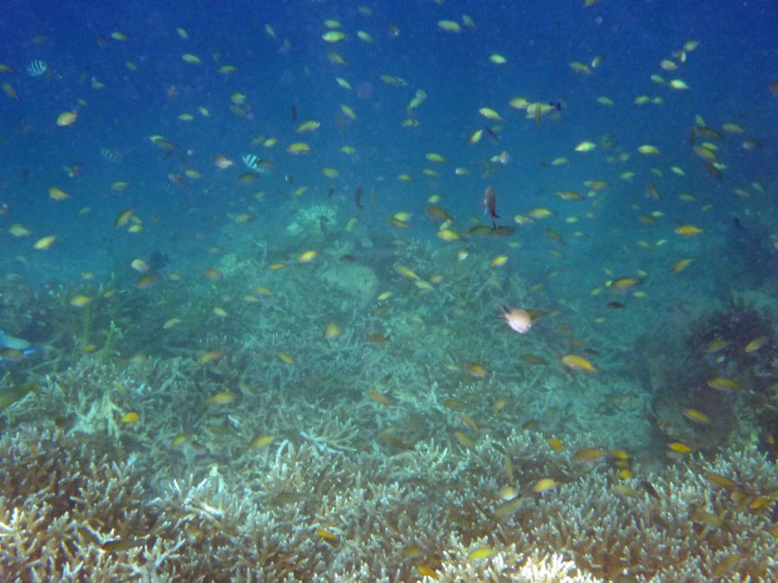 Misool, Westneuguinea, Indonesien, Insel-Ausflug